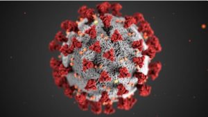 Chitradurga new corona virus enter into india