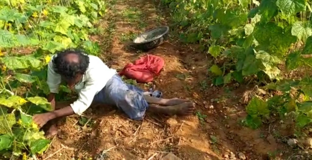 ರೈತ ಕುಲಕ್ಕೆ ಮಾದರಿಯಾದ ವಿಕಲಚೇತನ ಬಾಲಣ್ಣ